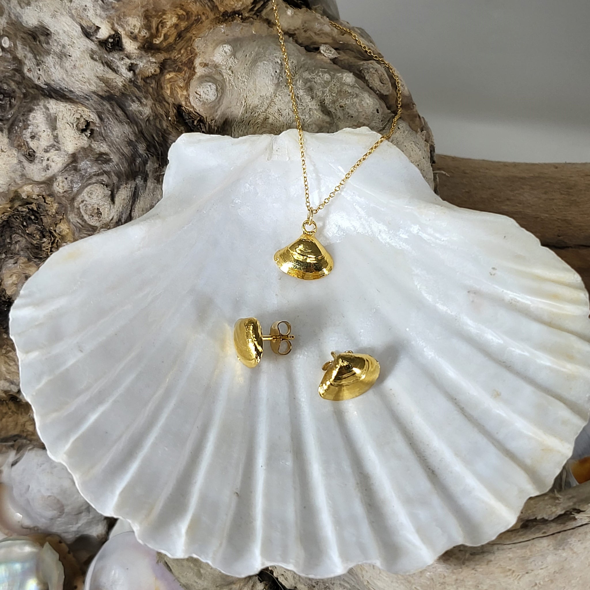 Small Clam Sea Shell With Pearl Pendant 14k Gold Charm & Chain Oyster Perla  Oro