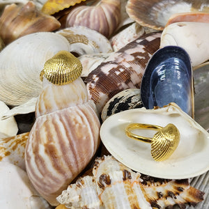 shell ring