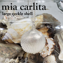 Large cockle shell